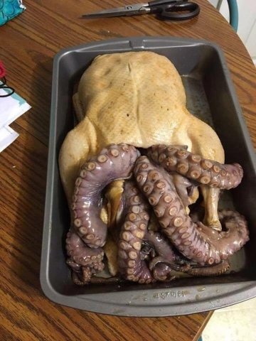 turkey squid